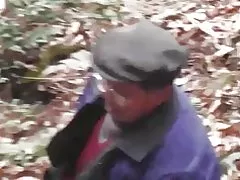 Woods sarja - forest wild